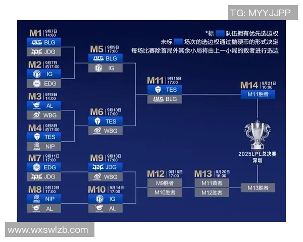 电竞比分赛后复盘WE与BLG的团队协作与战术分析探讨